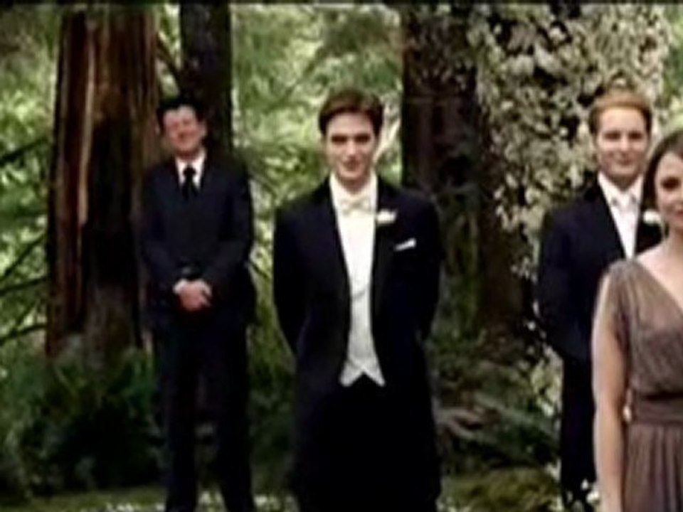 Breaking Dawn - Bis(s) zum Ende der Nacht (Teil 1)