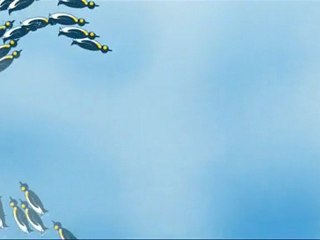 Iceberg Surf - Club 2011