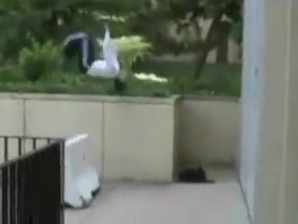 Brechen Kopf parkour Fail