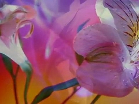 КРАСИВО - Beautiful