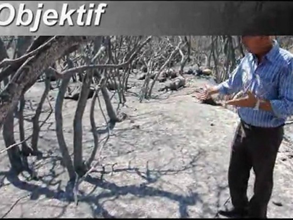 keci