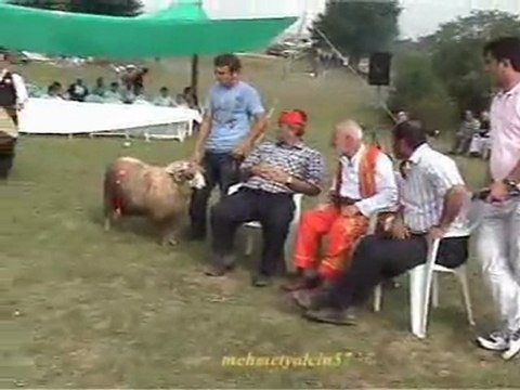 Darıözü Köyü Göllü Yaylası 1.şenlik Ağası Yeter Cebeci 2011