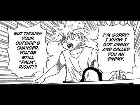 hunter x hunter amv gon vs pitou