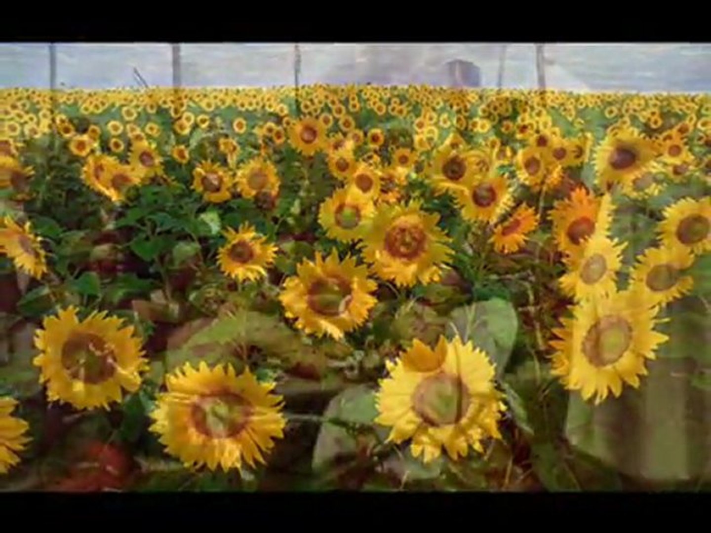 Ukraine ♥ Україна ♥ Ukrajina ♥ Ukraina ♥ Ucraina ♥ Ucrania - Ukrainian song