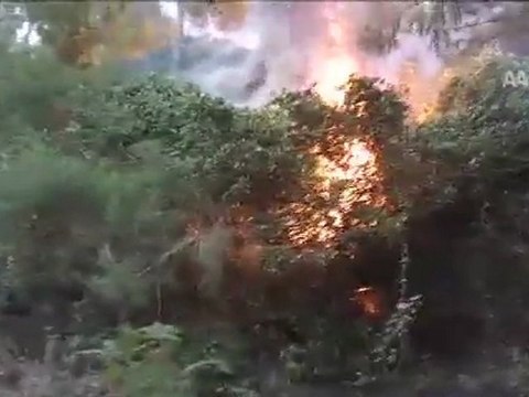 Milas çayır çayır yanıyor