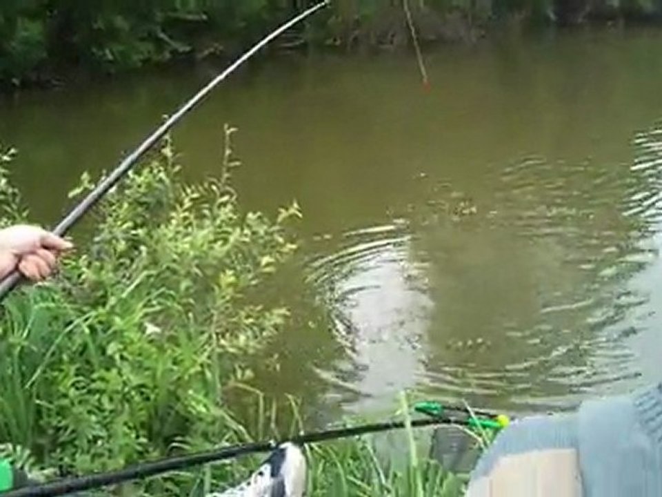 [Peche carpe au coup] Belle petite carpe ^_^