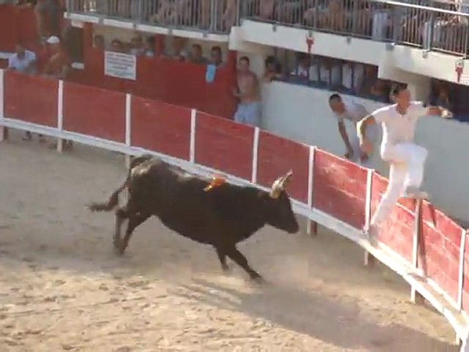 Course Camarguaise Trophée des As, Grau du Roi, Aout 2011
