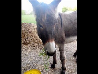 LES AVENTURES DE TA TI