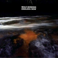 Male Bonding - Endless Now (2011) 320kbps Free Download