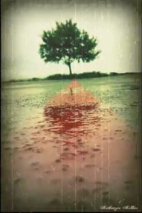 SMITH - Squirrels want my nuts