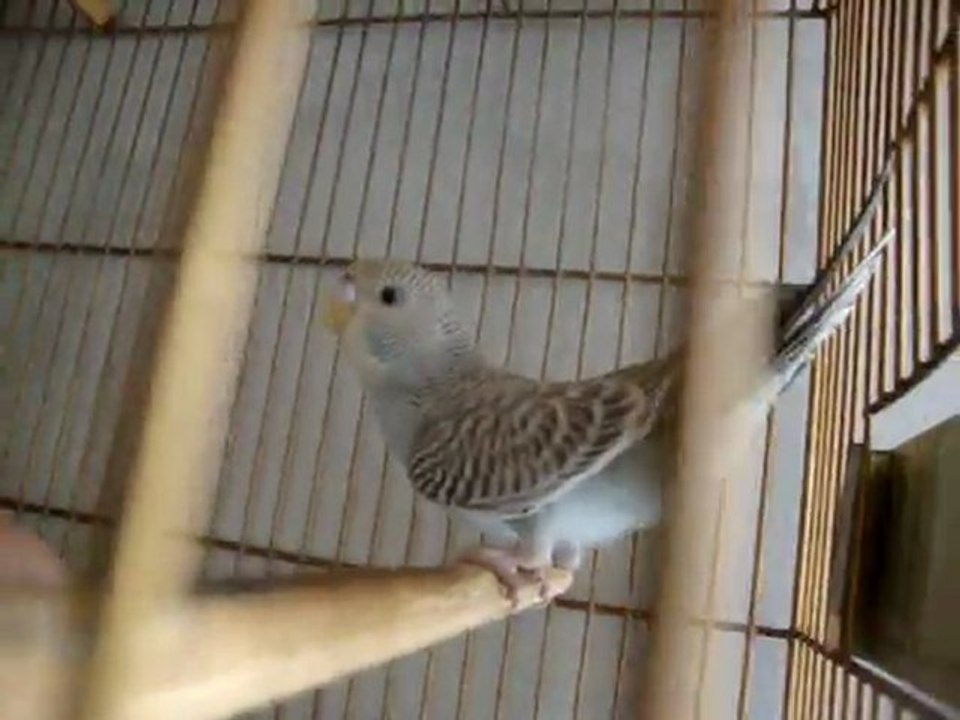 Kitinho menino bonitinho!