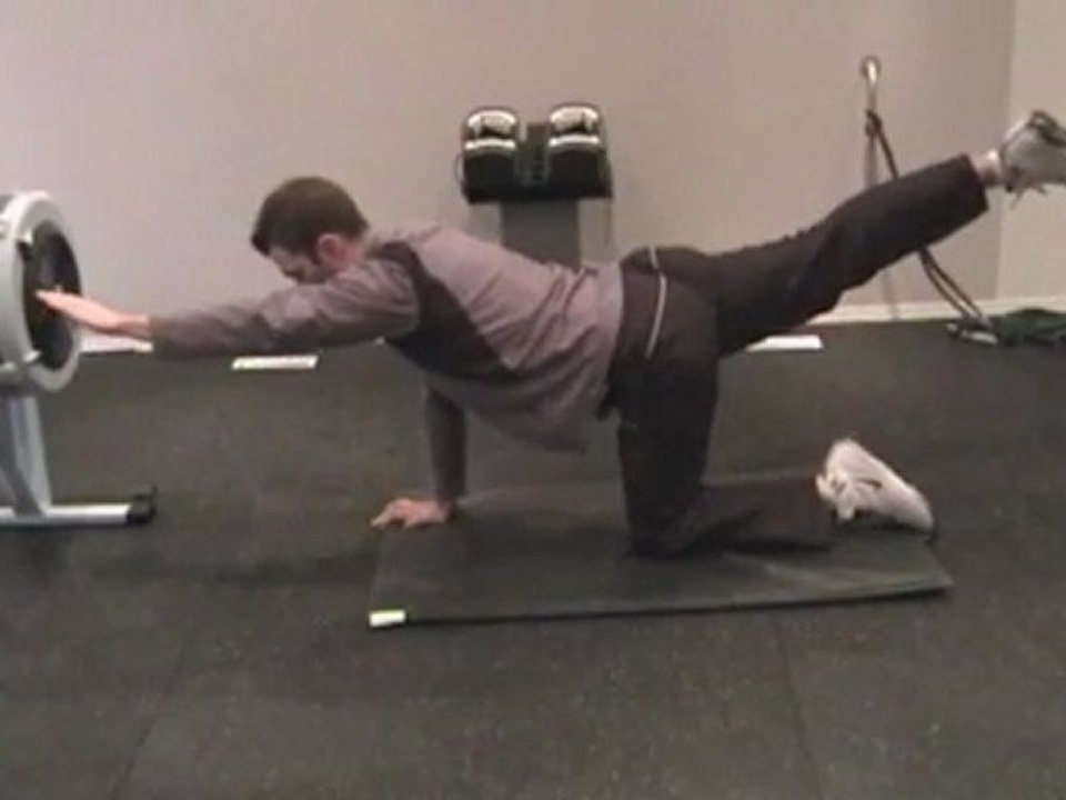 Bodyweight Bird Dog