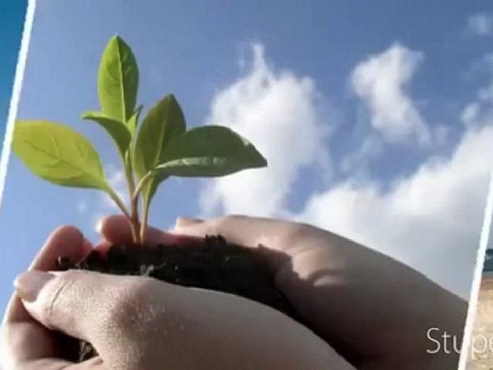 Get Life Insurance Miami,fl NOW! 786.468.6254