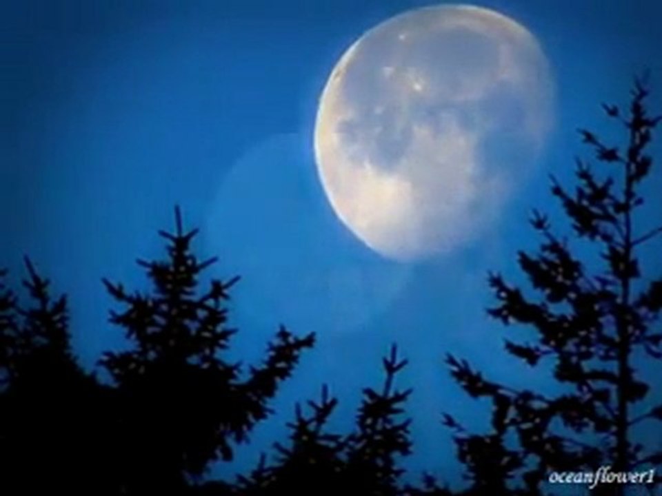 El.MaSsrY_ Whispers in the moonlight_موسيقـى هادئه على كيف كيفك