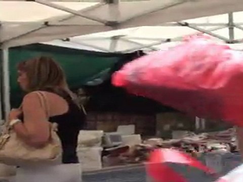 VACANCES 2011 - 12/07 - La Seu d'Urgell - Géocaching et Balade