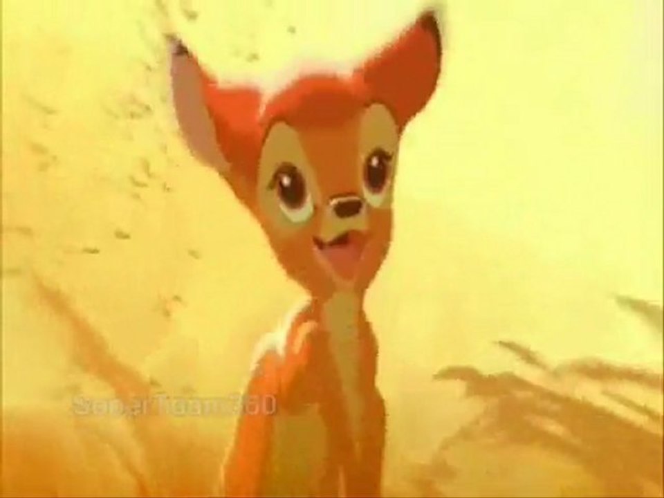 Somewhere - Animash
