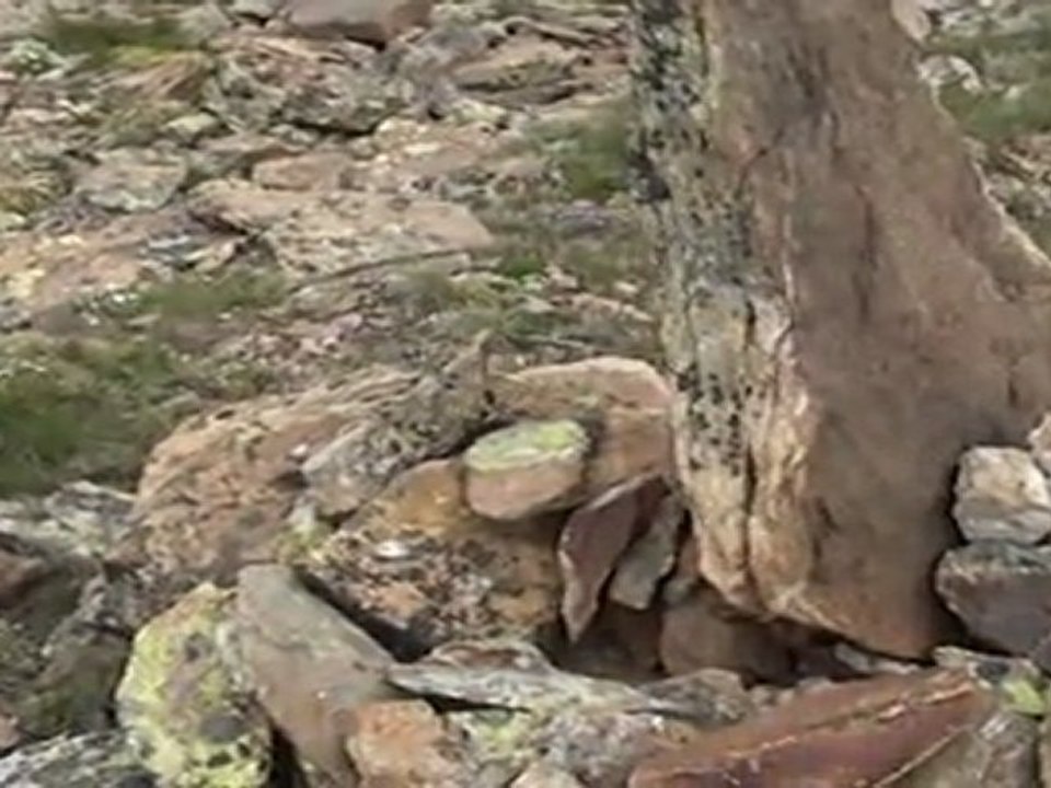 VACANCES 2011 - 11/07 - Pic Nègre + Pic de Monturull