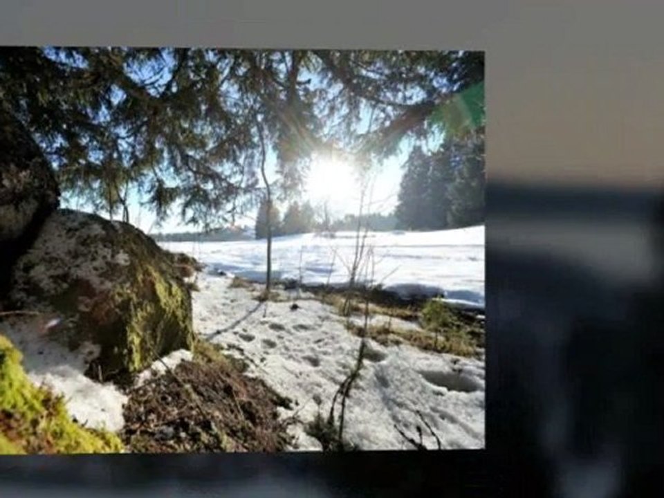Gaststätten Und Restaurants Feldberg Landhotel Bierhäusle