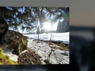 Gaststätten Und Restaurants Feldberg Landhotel Bierhäusle