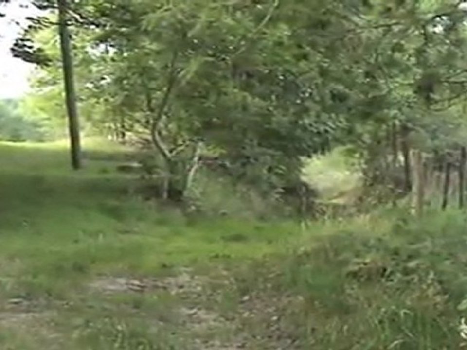 New01.mpg Chadouard    JUILLET  AOUT  2011