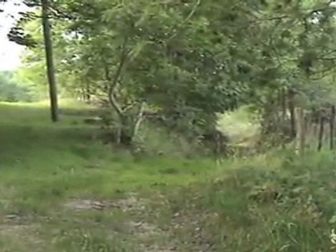 New01.mpg Chadouard JUILLET AOUT 2011