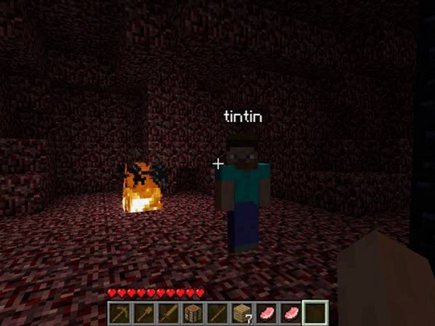 [partie 1] survival nether (minecraft)