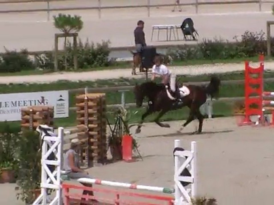 Qadfan Ceridwen Sologn'Pony 2011