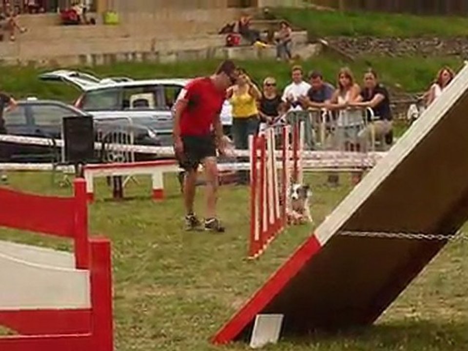 Concours Mende 14.08.11 2nd degré