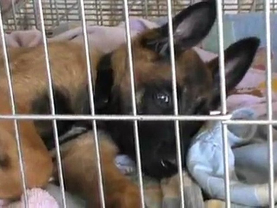 20110818145747