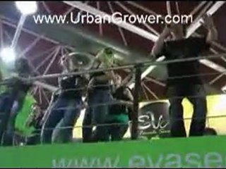 Spannabis 2011: Chill Reggae Vibes 🎶