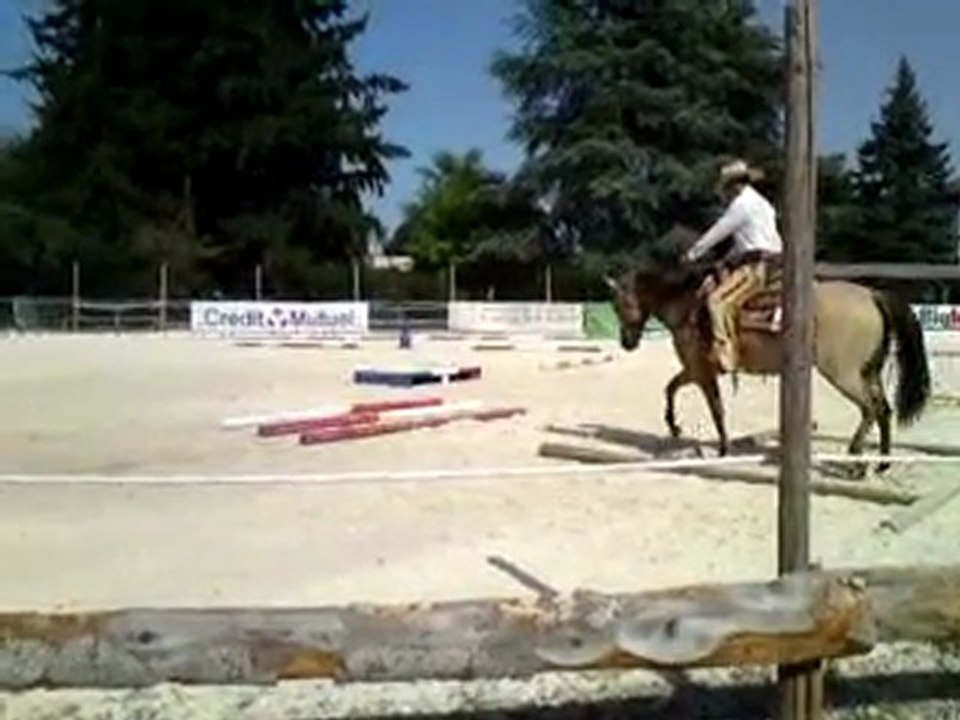 Concours national des races américaines Montrond les Bains 20/21 août