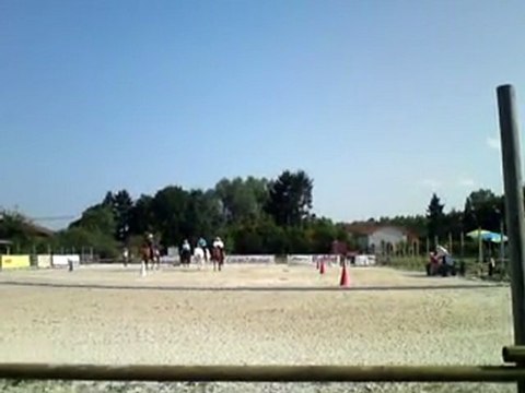 Concours national des races américaines Montrond les Bain 20/21 août 2011