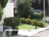 Gilbert Dog Trainers In-Home (480)818-4899 LOSE THE LEASH