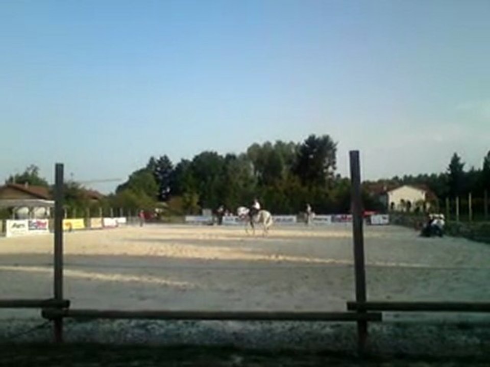 Concours national des races américaines Montrond les Bains 20/21 août 2011