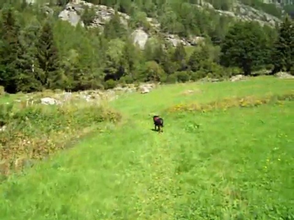 Loriaz 1
