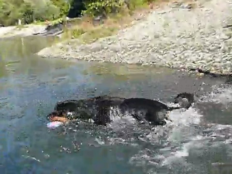 cayenne avec son ballon