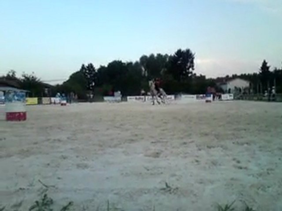 Concours national des races américaines Montrond les Bains 20/21 août 2011