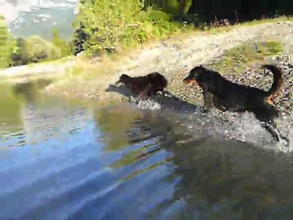 cayenne et tina