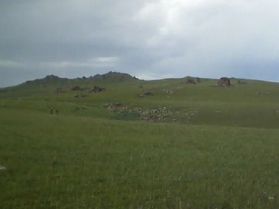 site Tsatsiin ereg 2011. En Mongolie