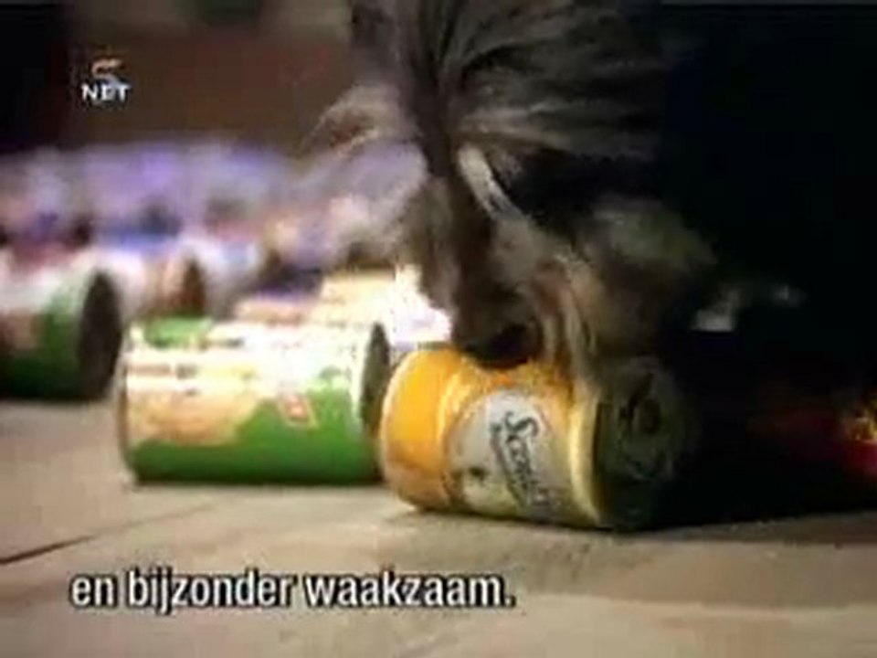 homesecurity_1