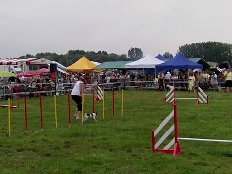 démo agility expo hoerdt