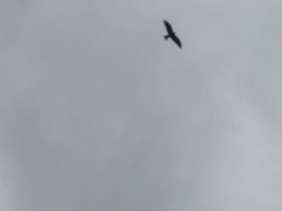 MVI_2140