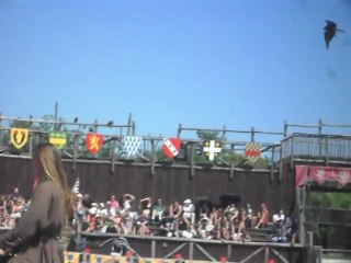 Zoo D'Amnéville: Spectacle Des Rapaces 2