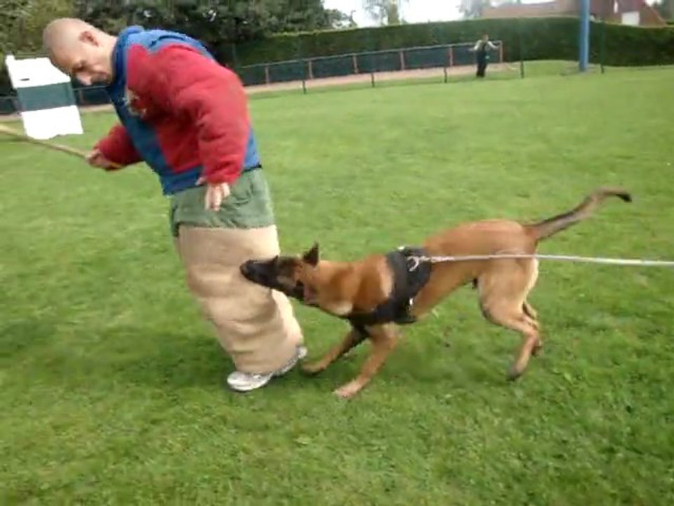 Gamin le 21.08.2011 014