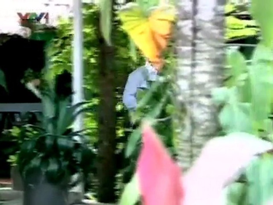 chiconlaitinhyeu04