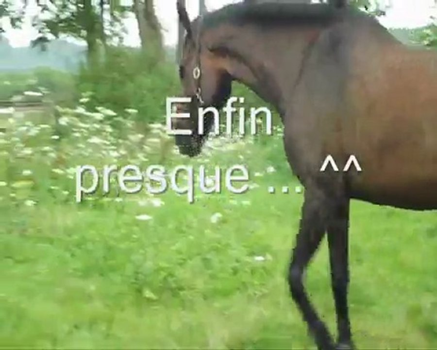 Hie; La vie tranquille ^^