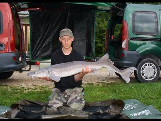 les chtis carpistes a la carrire des grand pres