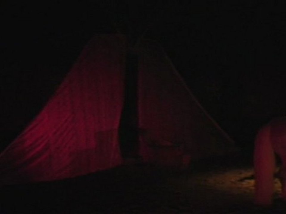 Wilfride Piollet, Jean Guizerix et Roag pour le Cheval Danseur, Folies Cheval 2011