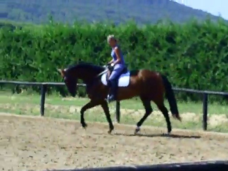 valse 2 trot