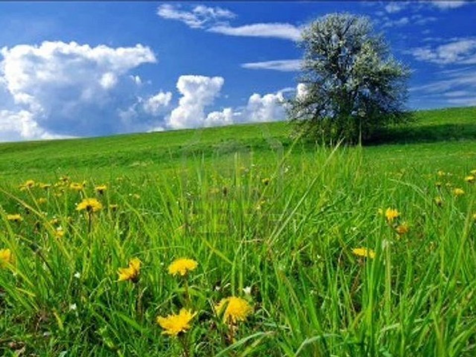 surat 113 khaled qahtani